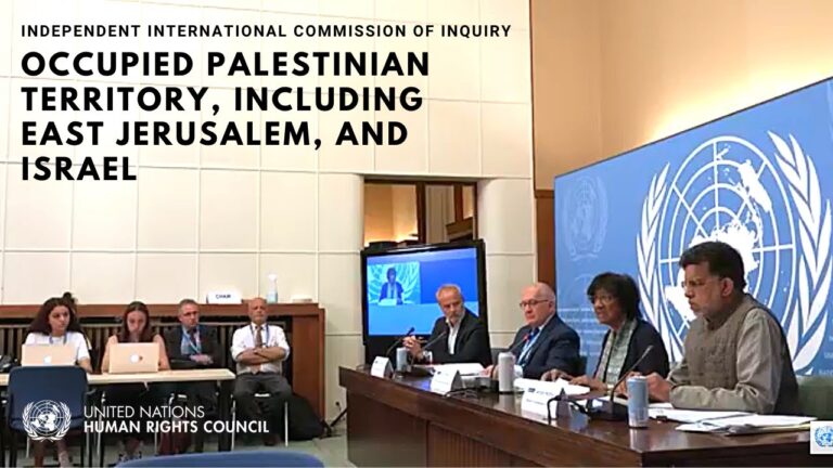 Statement on the UN Commission of Inquiry